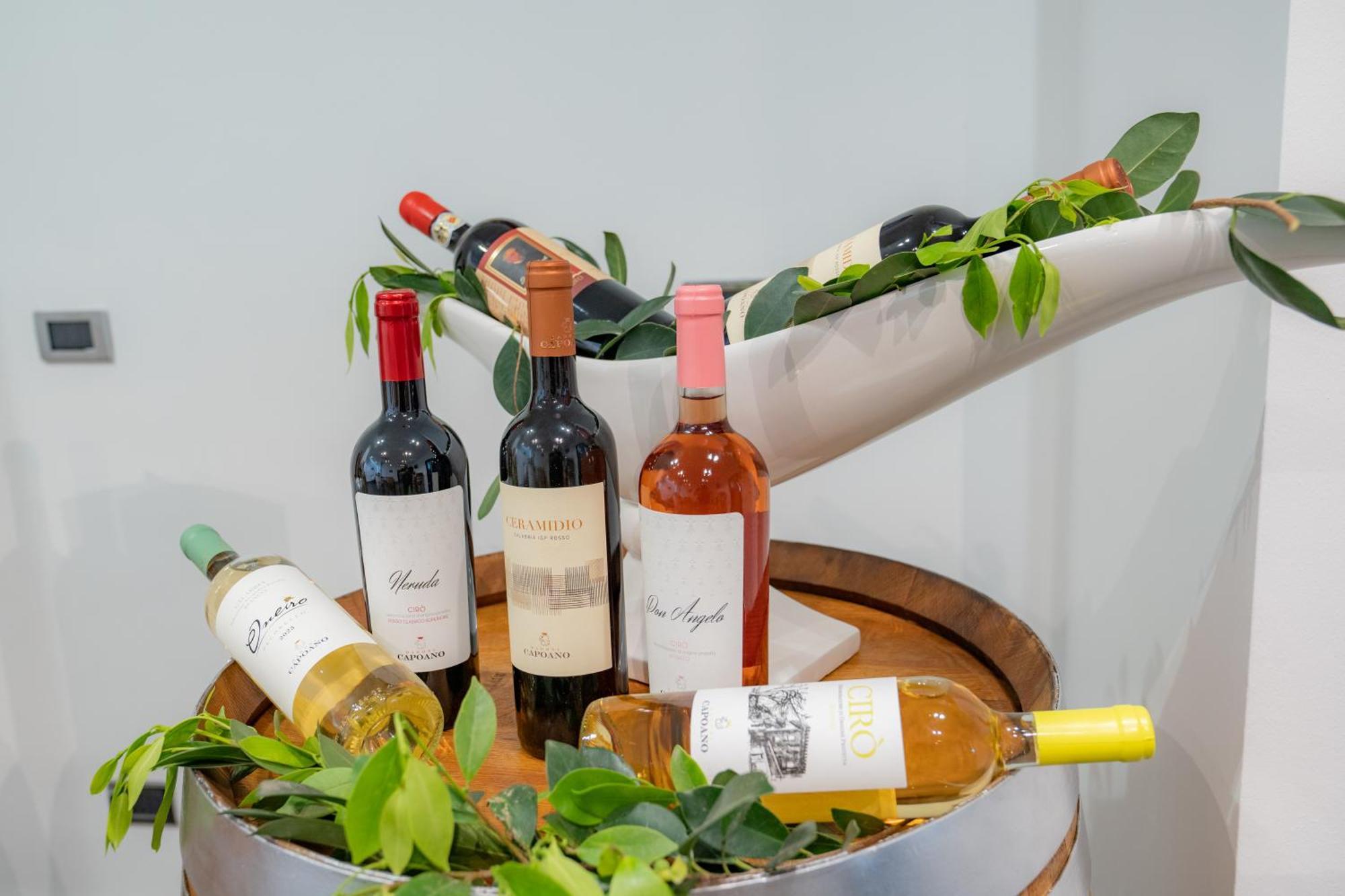 拿破仑酒店 Torre Melissa 外观 照片